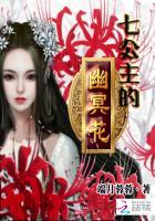 七公主在哪里
