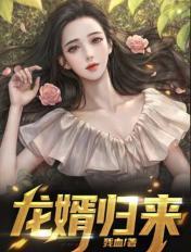 龙婿归来叶峰