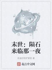 主人公要陨石碎片