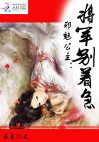 邪魅贵公子