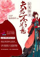 夫君不好惹 焱垚txt