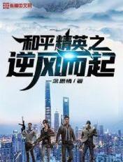 和平精英之一