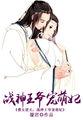 战神王爷傻王妃