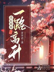 贵妃娘娘一路高升免费阅读无弹窗