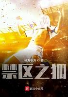 我真没想当训练家啊227
