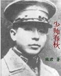 少帅春秋插曲全部歌曲