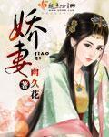 娇妻隐秘