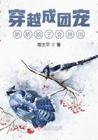 穿成团宠小娇娇