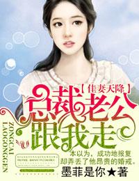 总裁老公娇妻赚钱我带娃