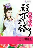 娇宠皇妃118章
