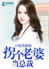 我的冷艳总裁老婆