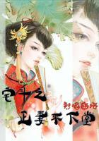 宅斗文妻妾斗