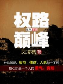 权路巅峰十一全文免费阅读最新章节