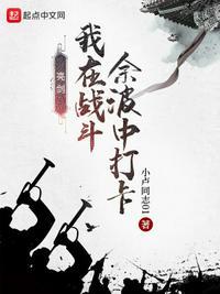 我在亮剑当战狼117章