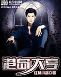 港岛大亨从娶了小妾开始笔趣阁