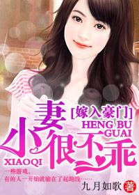 豪门小老婆百度百科