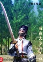 我在大明开无双简介