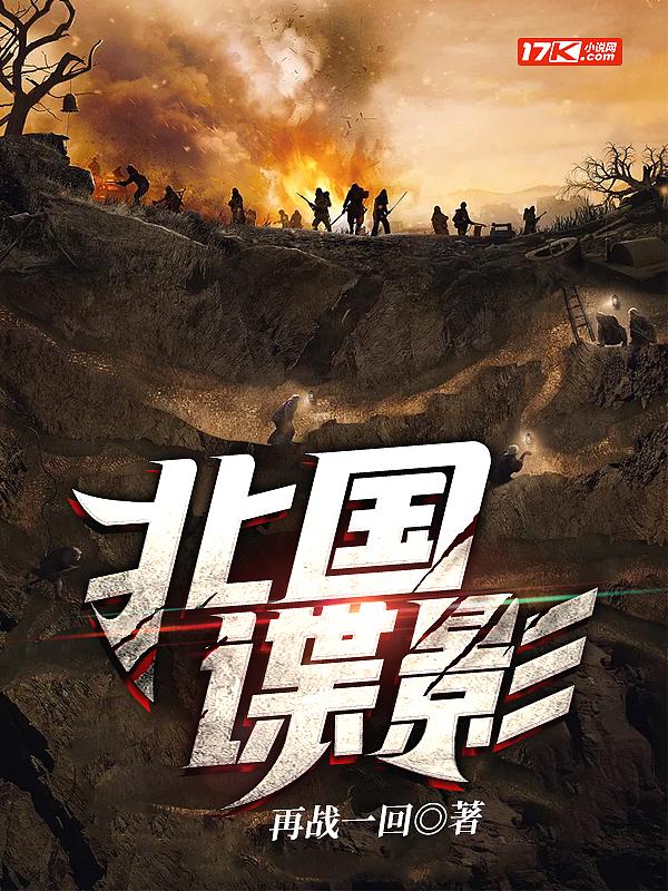 北国谍影完整版
