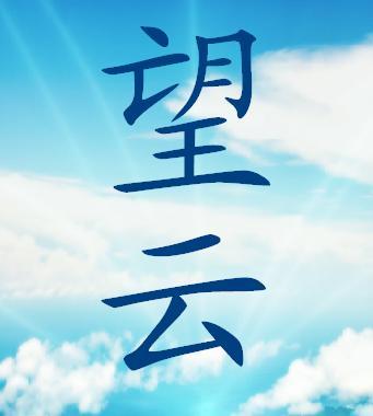 赋码百望云