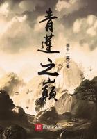 青莲之巅讲的什么