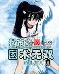 都市国术无双免费阅读
