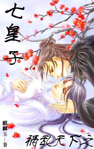 祸乱天下之七皇子