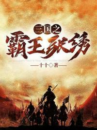 三国之霸王张绣 历史评价