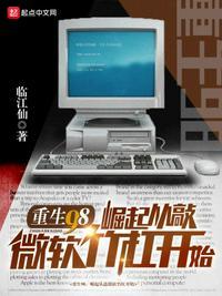 重生98崛起从敲微软竹杠开始女主