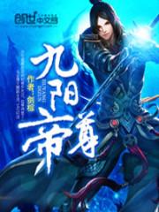 九阳帝尊陆玄免费阅读