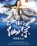 不一样的仙宗TXT