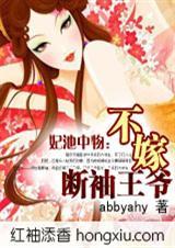 不嫁断袖王爷笙澜结局