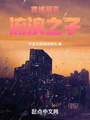赛博朋克2077流浪小子攻略