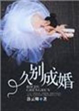 久别成婚陆安然作者无水姻脂