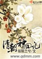 清穿 种田文