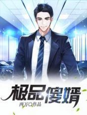 极品傻婿免费观看全集