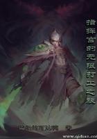 指挥官的无限打工之旅123