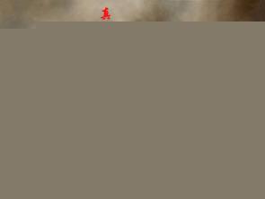血狼团免费阅读