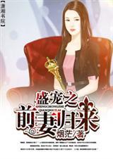 盛宠前妻老婆再来