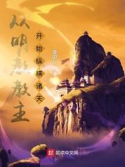 从明教教主开始纵横诸天TXT