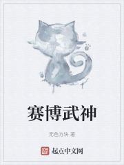 赛博武器属性