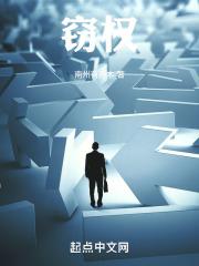 窃权乱政