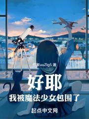 我被变成魔法少女