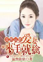 首席爱妻命中注定免费阅读全文