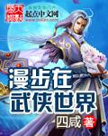 漫步在武侠世界TXT盘