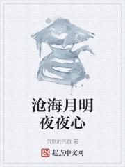 沧海月明歌曲