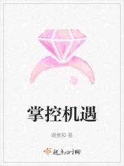 掌控什么意思?