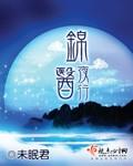 医锦夜行txt