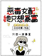 恶毒女配只想搞事业