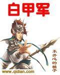 废黑甲军是谁