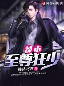 都市至尊狂少君宸